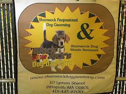 We scoop the poop, pet waste removal services in calgary, alberta: Dog Waste Removal Shamrockdoggrooming