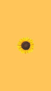 Download sunflowers background, phone backgrounds. Aesthetic Wallpaper Sunflower