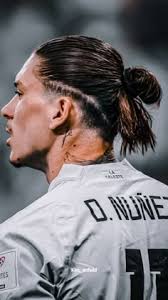 haydn hall (haydnhall)