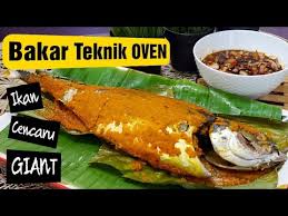 Ikan bakar terengganu resepi oleh : Resepi Ikan Cencaru Bakar Guna Oven Youtube