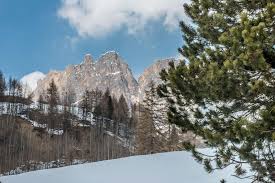 Idéal pour y ériger la propriété de vos rêves! Chalet A Vendre Alpes Italiennes Chalet Montagne Italy Sotheby S