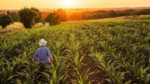 Mai mult, agricultura ecologica este un domeniu foarte important pentru asigurarea dezvoltarii durabile. Agricultura EcologicÄƒ Pe Larg Avantaje PaÈ™i Pentru Conversie È™i Cum ObÈ›ii Certificare