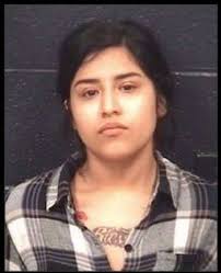 LPD Blotter: Over 60 of the most notable mugshots in Laredo last month