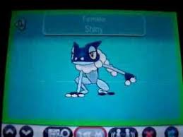 shiny froakie evolves into frogadier greninja