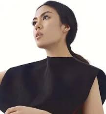 The industry of Frankie Pangilinan