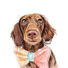 5 out of 5 stars. The Best Custom Pet Portraits And Paintings Hgtv