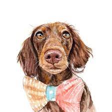 Learn how to select a photo of your pet that will translate into a successful final painting, and then transfer the image to your paper to create a. The Best Custom Pet Portraits And Paintings Hgtv