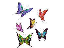 Butterflies Google Search Butterfly Tattoo Designs Butterfly Tattoo Printable Tattoos