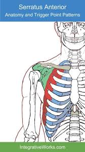 Pin On Pain