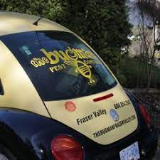Call for a bugman (aaaa bugman) your only legal contract killer. The Bugman Pest Control Services Request A Quote Pest Control 34363 Jasper Avenue Mission Bc Phone Number