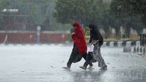 With imd forecast of heavy rains for july 2, the authorities declared a holiday in. Delhi Noida Rain Storm Hailstorm Trees Uprooted Hoarding Falls Dnd Latest News Weather Change India News India Tv