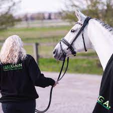 Language label description also known as; Ann Cathrin Lubbe Para Dressage Norway Startseite Facebook