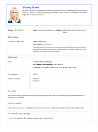 Resume Templates Easy To Customize Professional Templates