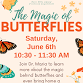 The Magic of Butterflies