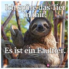Heute Schon Gelacht Spruche Zum Thema Humor Lachen Spruch Faultier Bilder Humor
