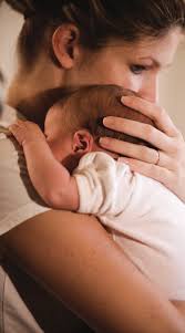 Report for Fiscal Year 2017