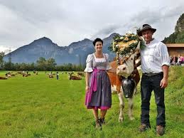 A Full Day At An Almabtrieb Festival In Tirol Austria Cow Parade Festival Tirol