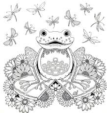 Sapo Floresta Encantada Coloring Page Frog Coloring Pages Animal Coloring Pages Coloring Books