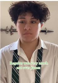 Regulus and James: A Love Story in the Marauders Era