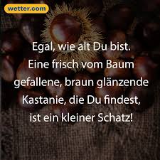 Wetterprognose Oktober 2020 Wechselhaft Aber Etwas Warmer Herbst Spruch Spruche Herbstbilder Lustig