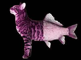 Why Do People Catfish Or Use Fake Personas For Online Dating The Swaddle