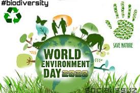 Check spelling or type a new query. World Environment Day 2020 The Social Issuz Worldenvironmentdayposters Activities World Environment Day Environment Day World Environment Day Posters