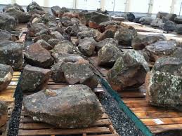 Find photos of mossy stones. Moss Boulders Sutherland Landscape Supplies Chico Ca
