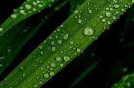 CEENRG Researcher Cale Reeves publishes new article