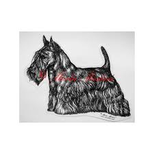 Image result for skotský teriér