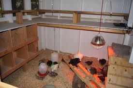 Roost Idea Over Nesting Boxes Small Chicken Coops Keeping Chickens Chickens Backyard