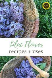 Wonderful Lilac Flower Recipes Family Food Garden Flower Food Food Garden Lilac Flowers