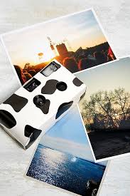 Black And White Disposable Camera Uo Cow Single Use Disposable Camera Disposable Camera Camera Disposable