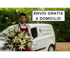 We did not find results for: Floristeria En Jaen Envio Flores Jaen Envio Gratis Floresnuevas Com