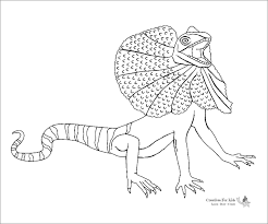 There's something for everyone from beginners to the advanced. Frilled Lizard Coloring Page For Kids Coloringbay