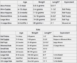 corn snake weight chart corn snake feeding chart by age