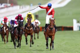 Envoi allen ретвитнул(а) the prestbury park punter. Steve Mcmanaman Why I Can T Wait To Watch Superstar Envoi Allen At Cheltenham Horseracing Net