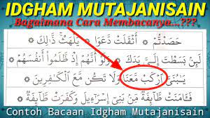 Idgham mimi atau idgham mutamasilain sangat mudah diingat yakni ketika huruf mim mati bertemu dengan huruf mim dan cara melafalkan bacaannya idgham mutajanisain adalah hukum bacaan ketika dua huruf dengan makhraj yang sama tetapi tidak sama sifatnya bertemu seperti huruf ta'. Pembahasan Idgham Mutajanisain Belajar Ilmu Tajwid Youtube