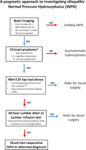 Image result for Normal Pressure Hydrocephalus