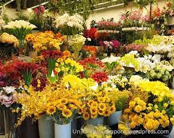 Delivery within 5 hours or collect within 15 minutes from our high tech cold room.no appointment needed. The Verge Mall Faux Flowers Are Forever Untourist Singapore