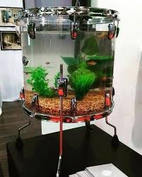 'flying is in my blood': Budget101 Drum Repurposed Into A Fish Tank What Do You Facebook
