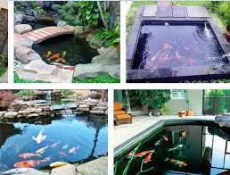 Kolam ini tidak begitu mewah. Kolam Yang Baik Untuk Ikan Koi Secara Sederhana Bentuk Minimalis
