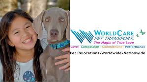 We treat each pet's relocation as if we were moving our own furry four footed family member. Worldcare Pet Transport Llc Reviews Facebook