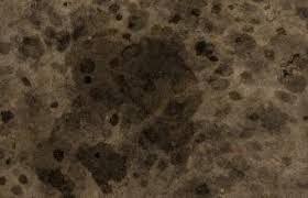 Sweep up the cat litter and pour on enough. How To Remove Oil Stains From Concrete Best Methods Lovetoknow