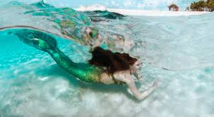 See more ideas about illustration, echo echo chernik illustrated the original brand character mermaid for malavera dark elixir by pernod ricard. Hire A Mermaid In Southern California For A Pool Party Or Swimming Mermaid Themed Birthday Party Sheroes Entertainment 805 328 4911