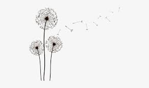 239x299 dandelion plant with yellow flower premium clipart. Blowing Dandelion Png Dandelion Clip Art Transparent Background Free Transparent Png Download Pngkey