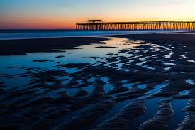 Myrtle Beach State Park Myrtle Beach South Carolina