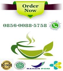 Graptophilly pictum folium 1500 mg phaleria. Ubat Kanser Rahim Malam Dokter Mau Tanya Keluahan Saya By Adit Tandayu Medium