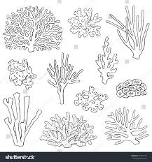 Corals Hand Drawn Illustrations Ocean Plants And Coral Reef Elements Isolated On White Vector Corals Graphic Collection Coral Art Coral Drawing Sea Drawing
