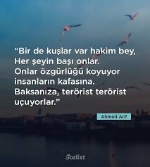 Feri Edebiyat Kitap Kenari Yazar Sozleri