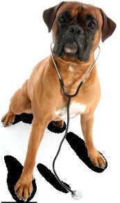 We did not find results for: Sugar Land Pet Hospital 16 Photos 55 Reviews Veterinarians 1216 Eldridge Rd Sugar Land Tx United States Phone Number
